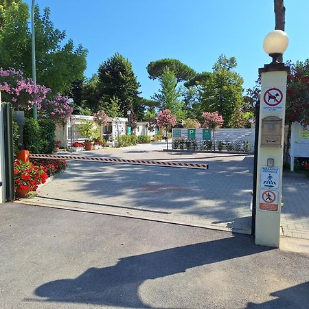 Camping Parco Vacanza Partaccia 2 마리나디마사 외부 사진